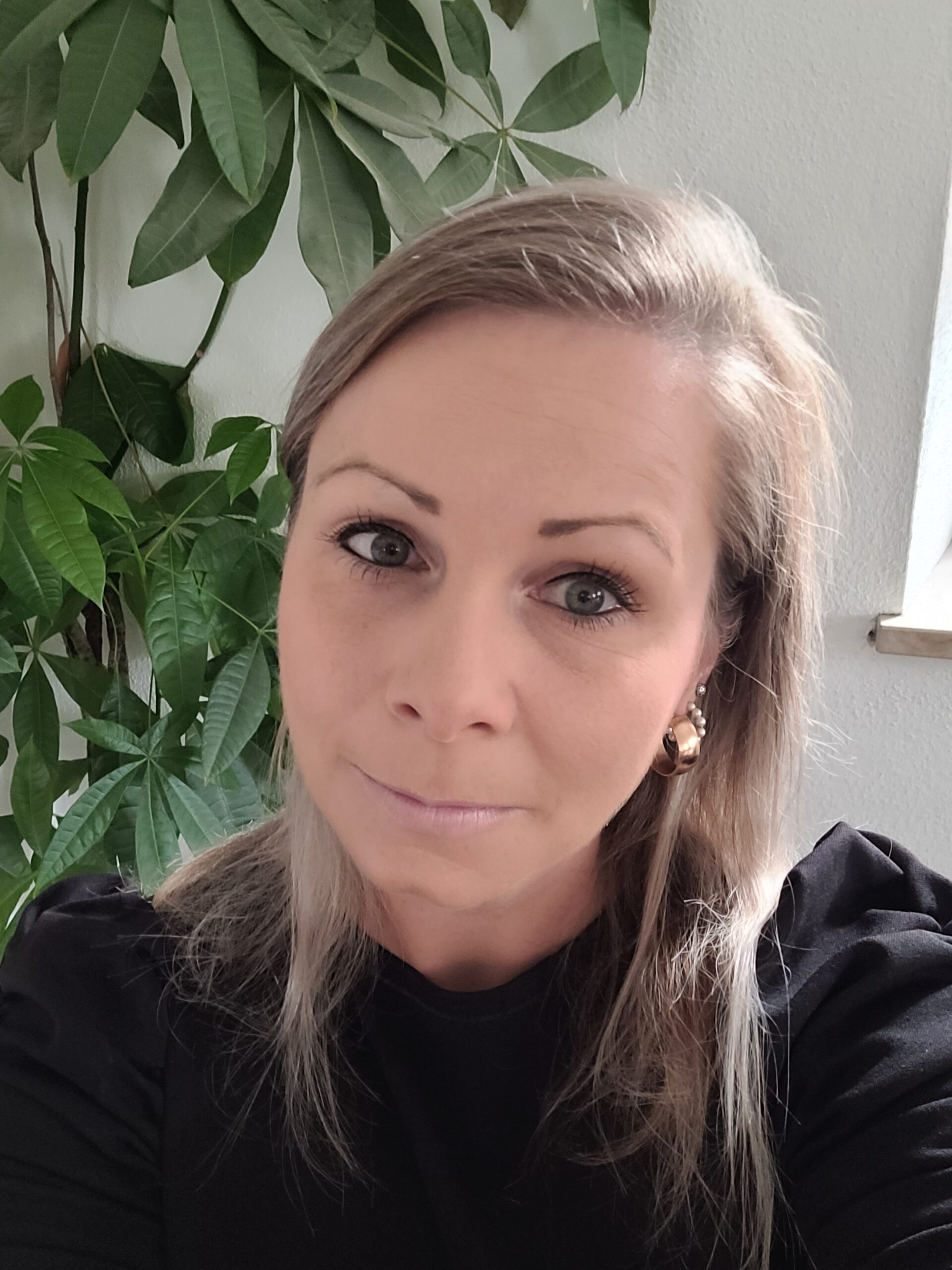 Die Holzscheune GmbH (c) 2023